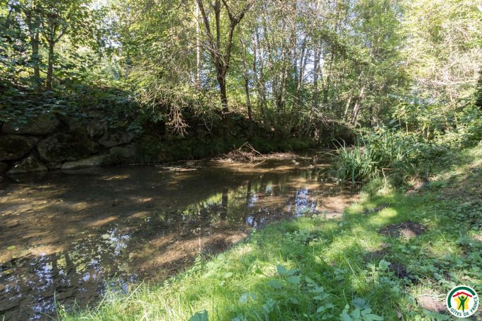 31G100358-8e1ef60403ba47efabbd444eae689876