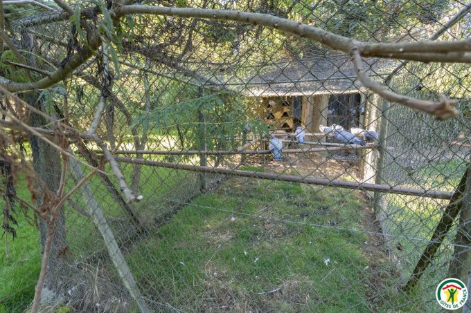 31G100358-9d1addb2823e43179464bdf8513b7485