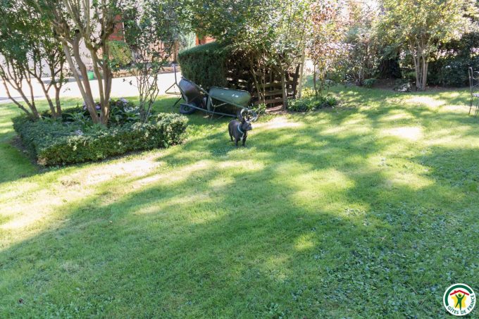 31G100358-f7e7a6703e034a57938bf2d95839cd1c