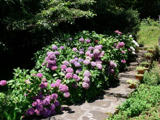 31G100360-0b937ac58ce5480bb130918bb81f43db