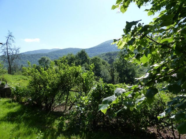 31G100360-15f4ec310f6f4c9b8f78daa8eb10ed40