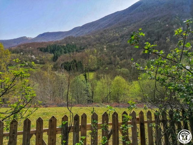 31G100360-7236d16f56074a09a01653918d7f0def