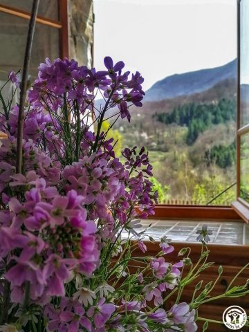 31G100360-cd1b8adf4eb34bf89ffd2ad6ca3a7f75