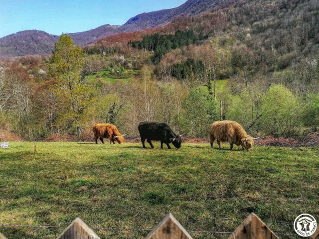 31G100360-ff1fcb568ee74519947f7d3aac4468c2