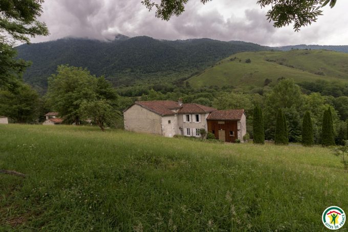 31G100403-11186c32ebf643a38ac15adf92736e40