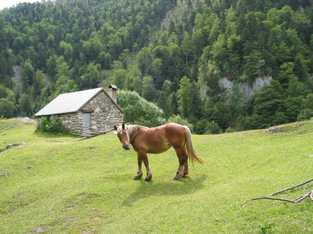 31G100403-43fe30841aac413cbe527431f9e8ae13