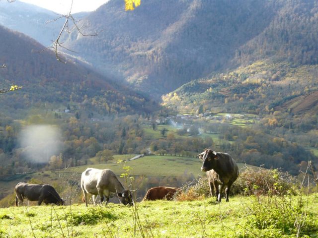 31G100403-741147d6ca8744fe8e15bf334086d667