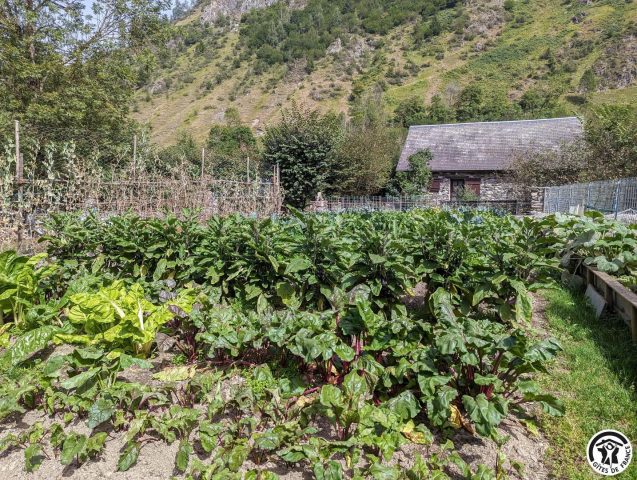 31G100441-1b3ca282607141aab88e0cf842120959