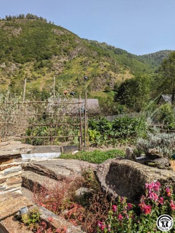 31G100441-687efea54ad7401f9e15ea5dc04ae04e