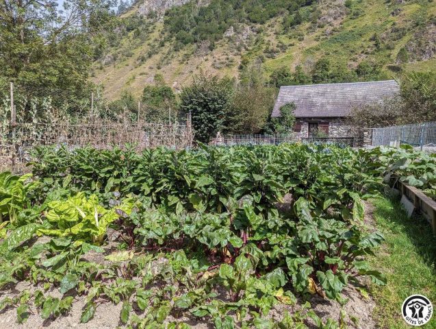 31G100441-f18d81362104473ca7b784044701bff1