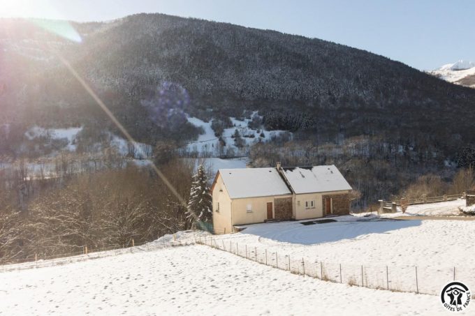 31G100445-95e45869d21c489fb2d2cd874e0013d7