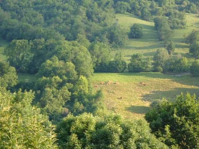 31G100445-a020ed9da75042119616cfb90d152500