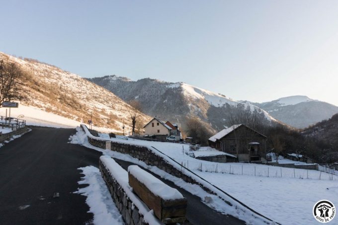 31G100445-acf3590955e64c9fa72841972e91ca32