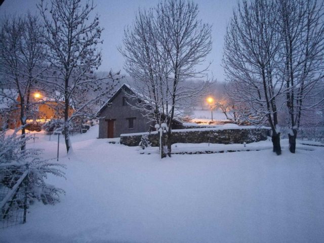 31G100446-235c692494914d0d83b5a9f4ddc8ac3c