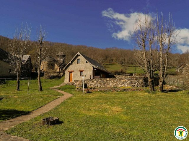 31G100446-254f01d37d34431a9e8e0e4789e06ce6