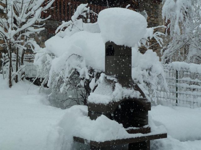 31G100446-51cc0eeb61b945928b018341acf6948f