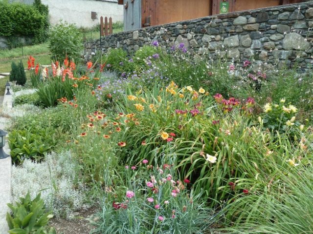 31G100446-52678a3526ca43c98c76a67acb840d05