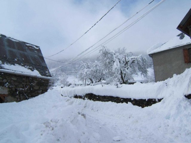 31G100446-7eaa42258df34f5fa87a2beb12033798