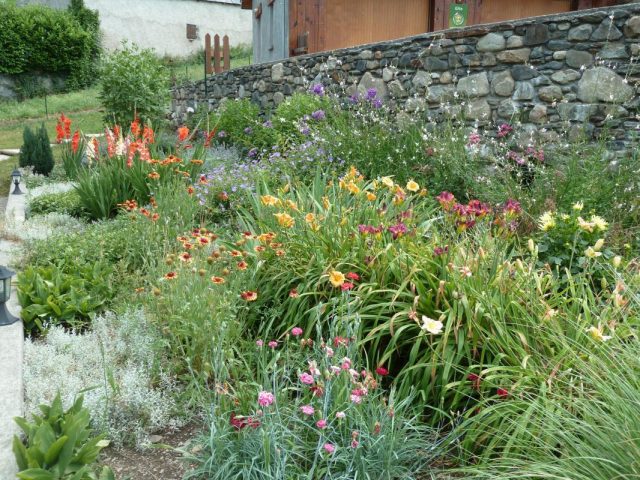 31G100446-c8e3cf6e36f847a8812edfec9afee787