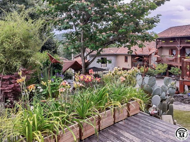 31G100456-2966e35e23794667bb9c93002becdb37