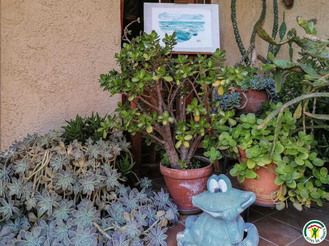 31G100456-99d0f570d18a4f1bb08b6260df7cad46