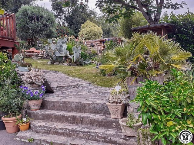 31G100456-aac0c83cb2634ad0a9bfe554eada82db