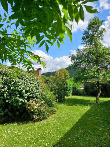 31G100471-249646f5e28e465792c36659aca90a22