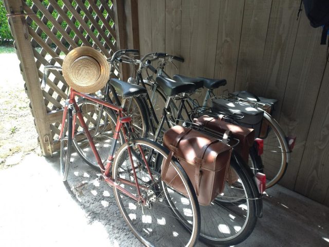 31G100471-3f0ebc38e453411e969a82e63dfc9551