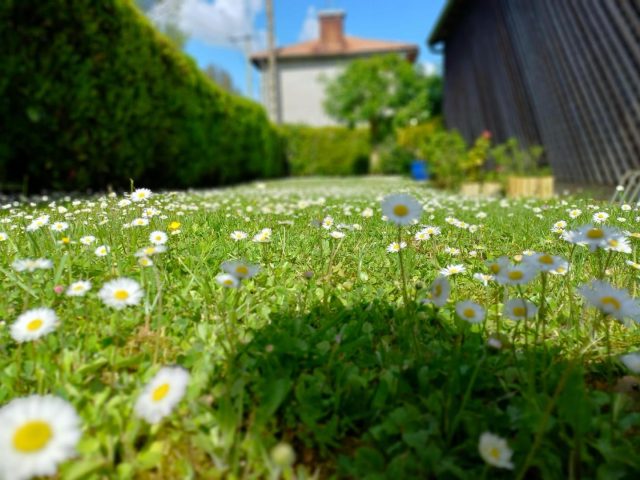 31G100471-5a73486cfcf44fa3823cef37a5950921