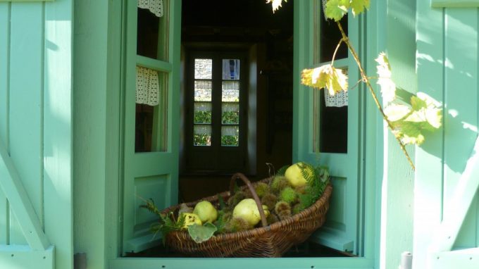 31G100471-7749525b141b4ae1890c6398ce1dec3e