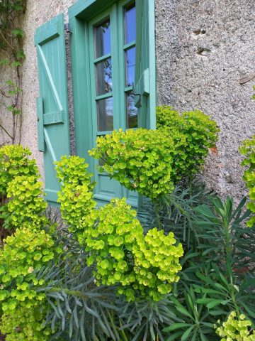 31G100471-9119617f12ac4e89bc90a06a43f38efc