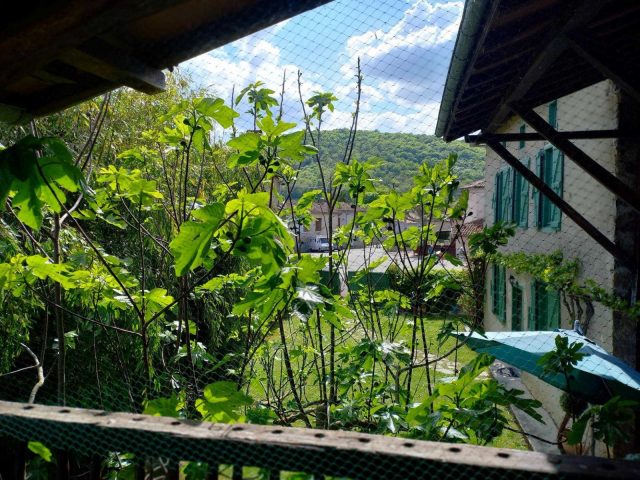 31G100471-b7670d8a82bf4d50a6af3443639b5c30