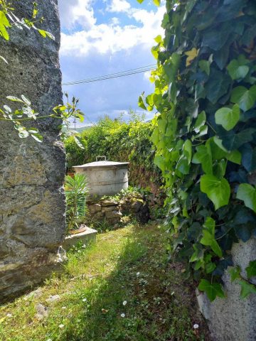 31G100471-d4ec67f6f48c4d04a9ead13da0f934b6