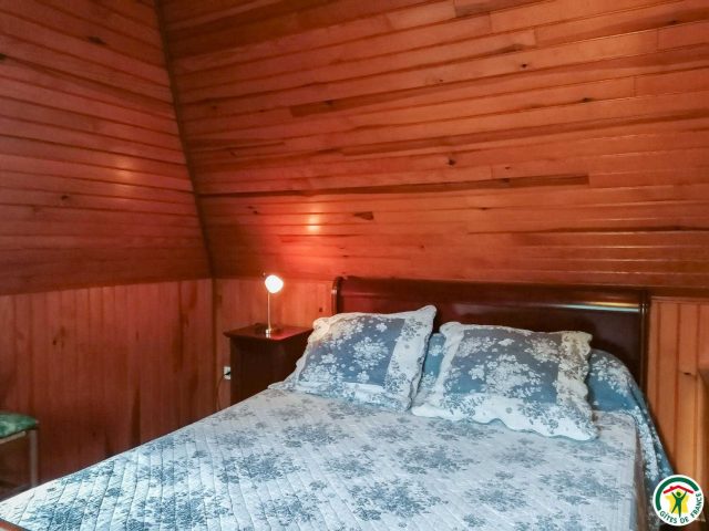 31G100492-5742c11883bb48f3b8c7c2f68c8b48e3