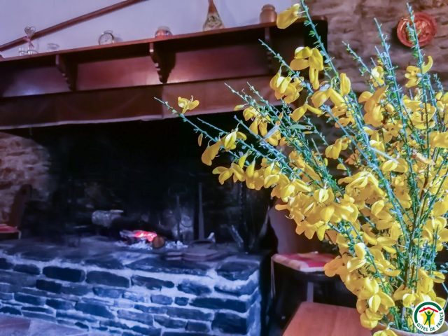 31G100492-82c7a0f378a746d696517dd26ce6fed8