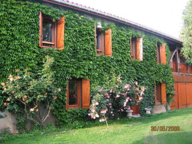 31G100509-325e2e2028cd4ca7bc012d3ab53cee08