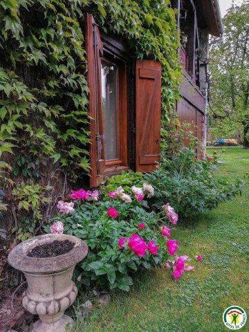 31G100509-3862649dda8c416e99b0805c44b86c40