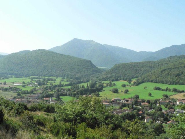 31G100509-77d8aa685de3405cbb009c0e9bfbe286