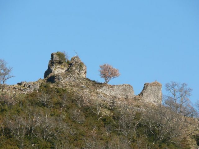 31G100509-e1362e5f226b4e078f0db7f018463b25