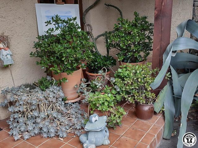 31G100544-9f0fcdcd00db4139b0d408504623d51d