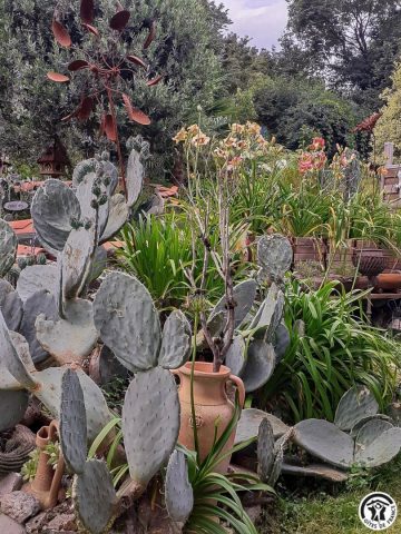 31G100544-b675e15d3641480189ad34002352ff9c