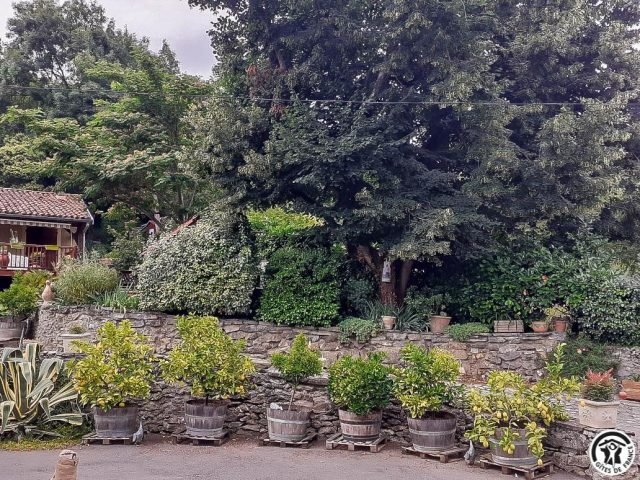 31G100544-f80937e4771148348d66facead6842ec