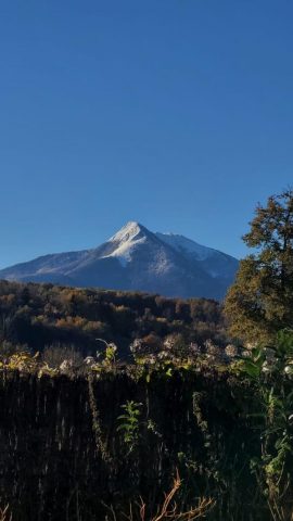 31G100587-45ff4c9e79ad4ea3b4202dbddb12ef18