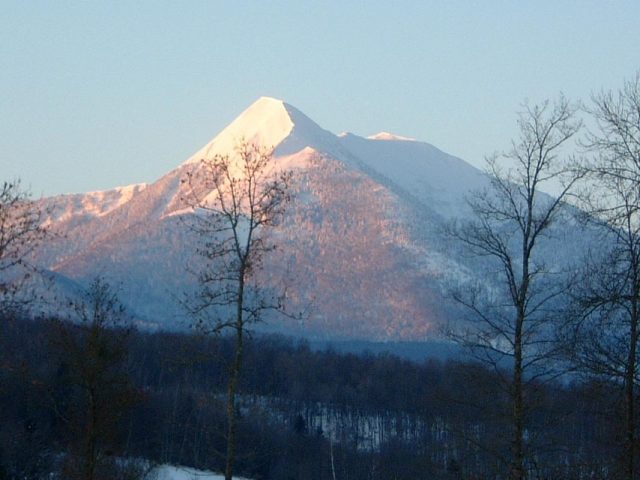 31G100587-8e873752274f45ec97c32f1eeb23671f