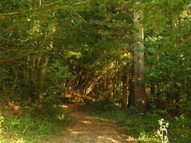 31G100588-68aad1b03b9c4f2c8afe44d55ebf04e3