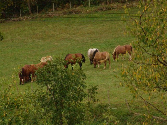 31G100588-fadd3b84e5af463d8edb83a30f51d624