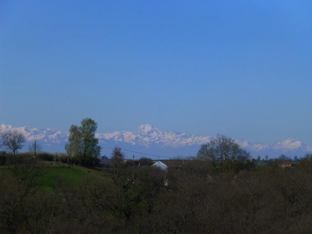 31G100621-62b21275a90b429faf5bb12a5bd82d32