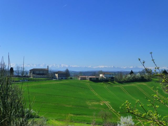 31G100621-63c82c73a0be40cf91a179d6a076fee3