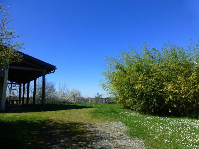 31G100621-7504d79a139640dbb722836681fff4c9