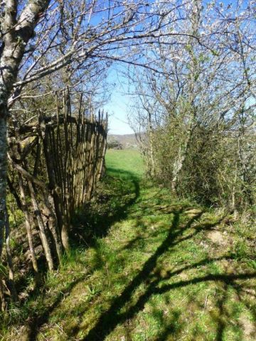 31G100621-ef7550181e6b4958a0872500c9616f41